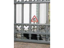 ���_�������