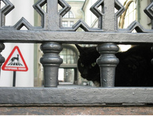 ���_�������