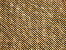 ���� ����.jpg