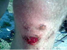 ���� �����-��