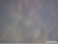 �����: 156�� ���� ��� �������� ��