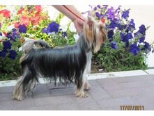 ����������� 010.jpg