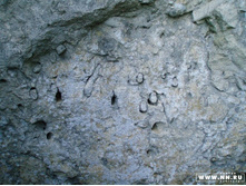 �������� ��������� �������