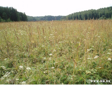 ������ � ���������