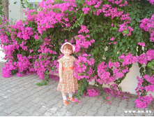 ����� �� ������