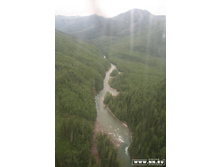 ��� ������ ������� ������