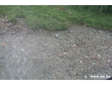 ���� �� �������