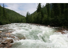 ����� ����� ������� ����