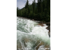 �����, ����� ����