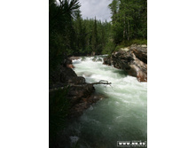 ������� ������ ������