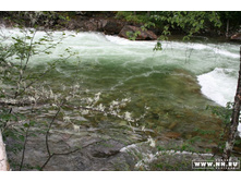 ���� ������