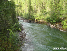 ����� � ������ �������