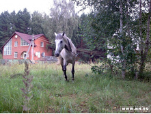 ����� "� �������", � ��� - ������!