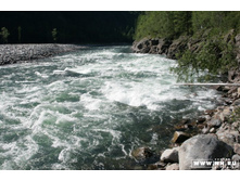 ����� "���������".