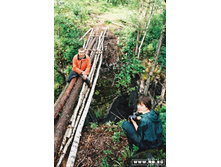 ������ ���� ����� �.�����