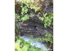 ������ ������� �����