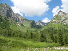 ������ �����