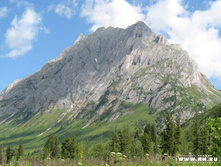 �� ���� ������� 600 � ����