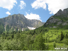 ����� ������ ������