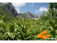 ������������ � �����