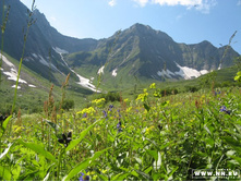 ����� �������� ����� �� ������ �����