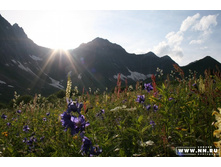 ����� � �����