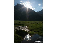 � ������� �.�����