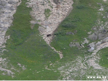 ������� ������������