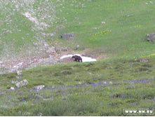 ������� ����