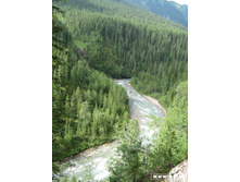 ������ ����� ���� �����