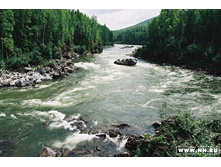 �����. ������� ����