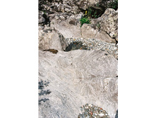 ���������� ��������