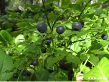 ������� �� ����� �����