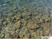 ���� ������