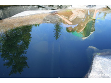 ������ � �������