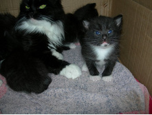 DSCN9509.JPG