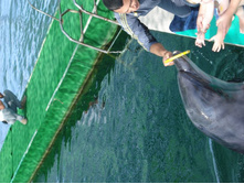 ���������������