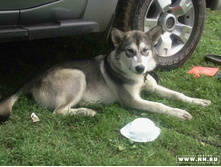 ������ �������� ������