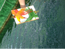 ������� �� ����������� (��)