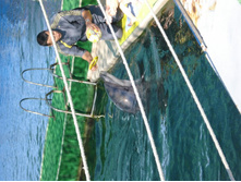 ���� � ������������