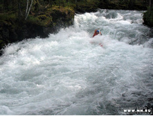 ����� ���������. ��� ��������.