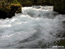 ���������. ���� �� ����������� �������.