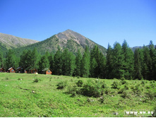 �����-���