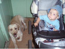 ������ (1,5�.) � ��������(7,5 ���.)