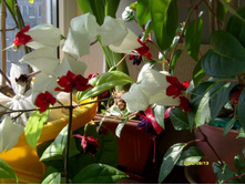 ������������