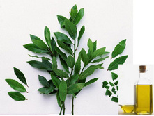 �������� ���� 100���.