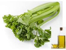 ��������� 110���.