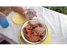 DSCF1158.JPG