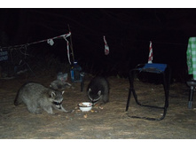 DSCF1259.JPG