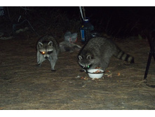 DSCF1267.JPG
